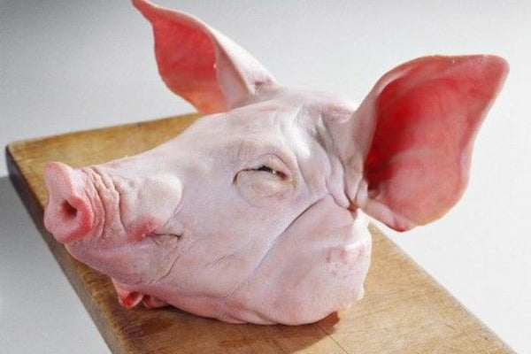 All Natural Pig Head