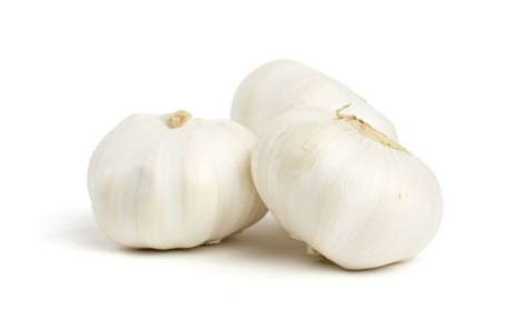 Colossal Garlic 1lb