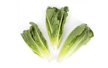 Romaine Hearts 3CT