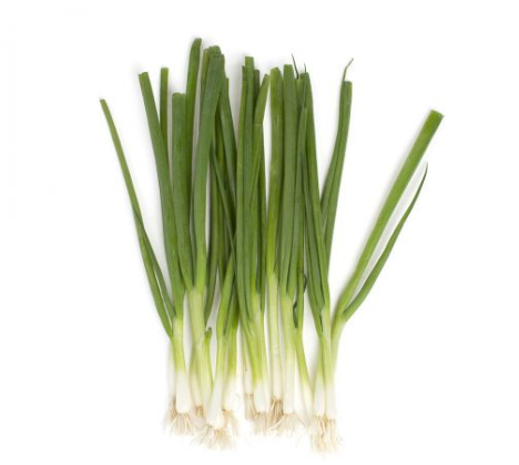 Iceless Scallions