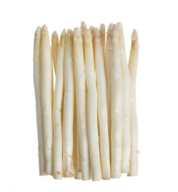 White Asparagus Bunch