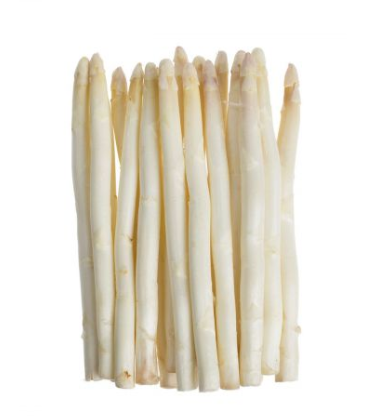 White Asparagus Bunch